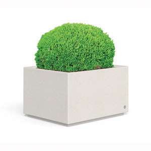 Alone Low Planter by Bellitalia